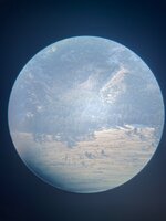 IMG_9710.jpeg
