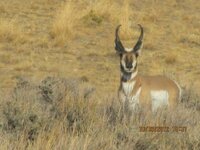 IMG_3068.jpeg