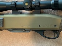 IMG_1582.jpg