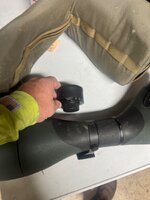 IMG_1311.jpeg
