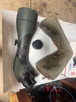 IMG_1310.jpeg