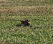 IMG_5349.jpeg
