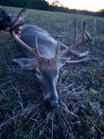 IMG_6110.jpeg
