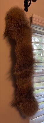 IMG_4589.jpeg