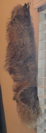 IMG_4588.jpeg