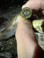 IMG_1938.jpeg