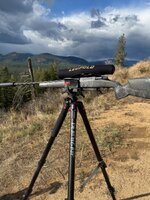 IMG_0478.jpeg