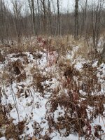 20181120_113331.jpg