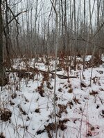 20181120_113517.jpg