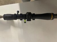 IMG_9568.jpeg
