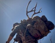 IMG_8710.jpeg