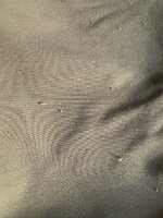 IMG_9924.jpeg