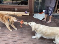 IMG_4979.jpeg