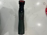 IMG_3951.jpeg