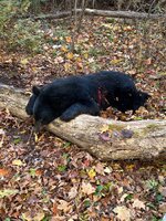 IMG_3012.jpeg