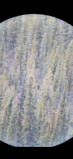 IMG_0770.png