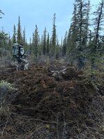 IMG_0415.jpeg