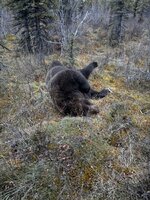 IMG_0417.jpeg