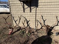 IMG_4295.jpeg