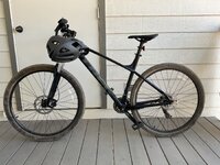 IMG_2013.jpeg