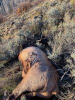 IMG_7162.jpeg