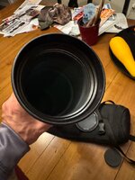 IMG_2976.jpeg