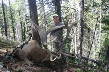 utah bull2 resize.jpeg