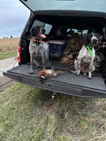 IMG_7432.jpeg