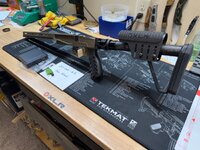 IMG_0937.jpeg