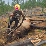 elk 1.png
