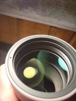 20250315_113406.jpg