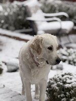 IMG_4873.jpeg