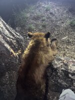 IMG_1630.jpeg