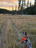 IMG_5039.jpeg