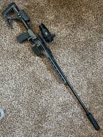 IMG_8250.jpeg