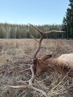IMG_4475.jpeg
