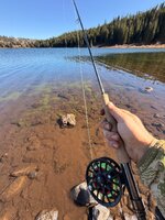 IMG_4524.jpeg
