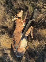 IMG_1468.jpeg