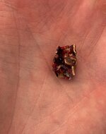 IMG_1474.jpeg