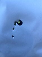 IMG_2931.jpeg