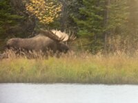 IMG_3822.jpeg