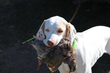 IMG_0830.JPG