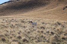 IMG_0819.JPG