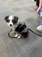 IMG_8471.jpeg