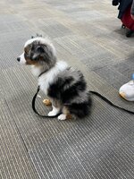 IMG_8472.jpeg