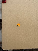 IMG_5938.jpeg
