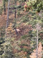 IMG_1476.jpeg