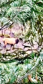 IMG_1475.jpeg