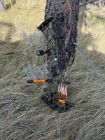 IMG_6278.jpeg