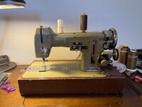 IMG_2137.jpeg